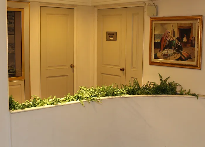 فندق بارك رويال 4*